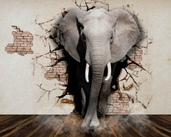 elefant