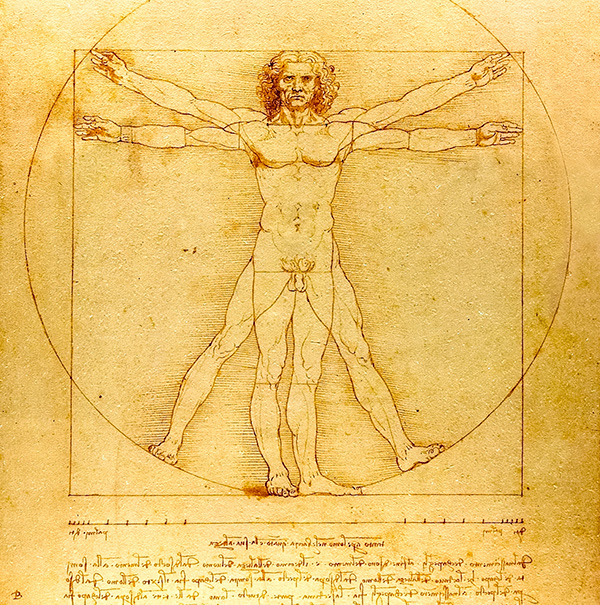 leonardo