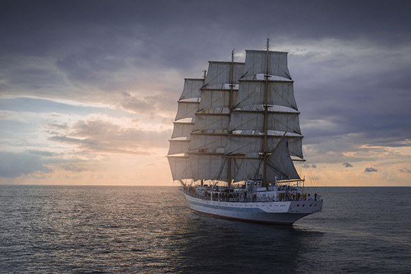 schiff