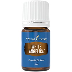 white-angelica